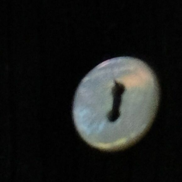 NWT Beacon Apparel Black Top with mother of pearl buttons Large - Picture 11 of 11